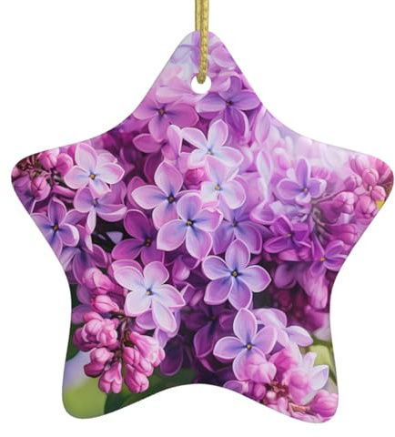 Weihnachten Keramik Sternförmige Ornamente YYHHAOFA Rahmen Flieder Blumen in Blüte Bild Weihnachtsbaum Zubehör für Einkaufszentren, Fenster und Büros