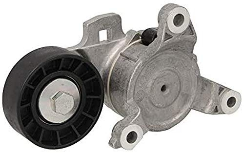 Dayco APV2712 Tensor de correa, correa poli V