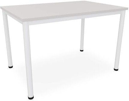 Dila GmbH Schreibtisch/Besprechungstisch in verschiedenen Größen und Farben weißes Metallgestell Konferenztisch Arbeitstisch (B: 120 cm x T: 80 cm, Lichtgrau)
