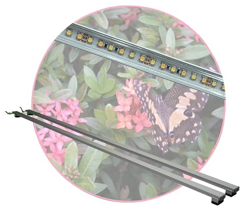 Regenwald Terrarium LED-Beleuchtung 2x 100 cm, für Tropenpflanzen- u.Tiere