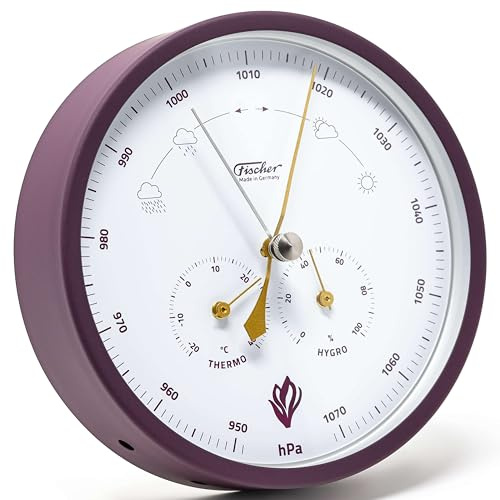 Fischer 1602-24, Wetterstation, Glas, Edelstahl, Messstation