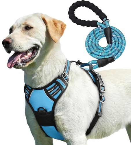 PetBuds Adjustable No Pull Dog Harness with Free 5ft Leash, Breathable & Durable for All Breeds (Blue, Small)