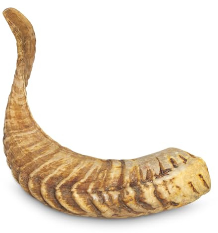 Kauspielzeug für Hunde aus Widderhorn, Größe L (>200 g)