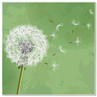banjado® Magnettafel 50 x 50 cm/Magnetwand aus Metall/Magnetpinnwand als Memoboard/Pinnwand Magnettafel Küche, Büro, Kinderzimmer inkl. 4 Magnete & Montageset - Motiv Pusteblume 3