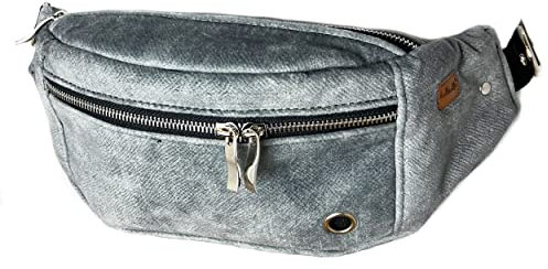 Hüfttasche für Hundebesitzer. Hund geht mit Bauchsack. Großer Leckerlibeutel für Hunde. Kotbeutelhalter für Hundespaziergänge. (Grau)
