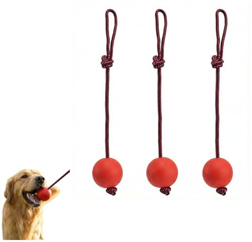 COONE 3 Pack Ball On Rope Dog Toy, Durable ​TPR Balls​ with ​Rope, Chew Resistant, for Fetching, Catching, Tugging, Indoor Outdoor Water Play (5cm Diameter)