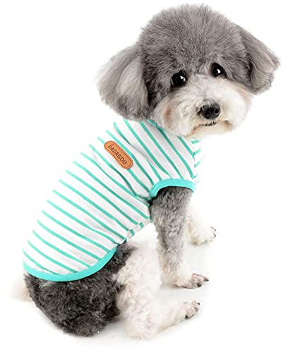 Zunea Sommer Hunde Shirts für Kleine Hunde Gestreifte Welpen Weste Grün, XS | Weiche Atmungsaktives Leichtes Polyester, ärmelloses, für Alltag, Spaziergang, Yorkshire Katzen T-Shirt, Chihuahua Kleidung