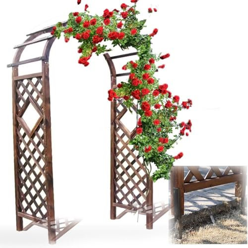 NILZA Holz Hochzeitsbogen Torbogen Rankhilfe Rosenbogen Kletterpflanzen Rankgitter 200cm 100cm Hochzeit Bogen Rosengestell Ständer Für Verschiedene Party Dekoration (Color : Earthy Floor, Size : W12