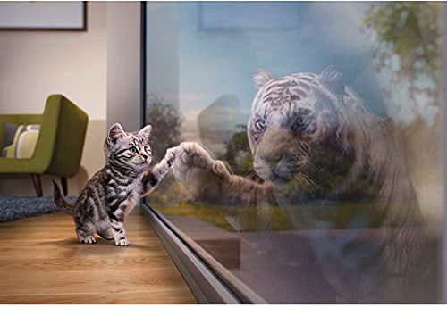 WACYDSD Puzzle 1000 Teile Kätzchen mit Tiger-Spiegelbild | präzise passende Puzzleteile, Buchstaben-Sortierung A-H auf der Rückseite, großformatiges Poster inklusive, 75 x 50 cm