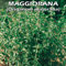MAGGIORANA (Origanum majorana) - SEMI