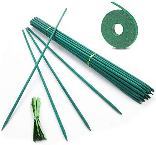 Pflanzenstützen 50 Stück,Pflanzstab Bambus 45 cm,Pflanzenstäbe,Grüne BlumenstäBchen BambusstäBe mit 50 Stück Metallischen Bindebändern,für Haus Garten Kletterpflanze Erweiterung der Pflanzenstütze
