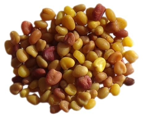 Trèfle Blanc Nain Non Traité Trèfle Blanc - 3 grammes - Trifolium Repens L. (Engrais Vert) SEM06