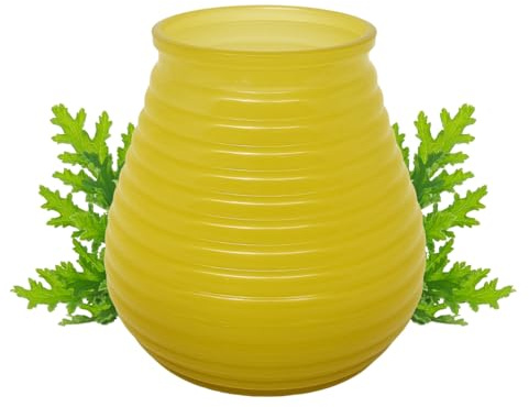 pajoma® Outdoor Duftkerze Citronella 6 Stück im gesprühten Glas | 150 g | Brenndauer ca. 28 Stunden | Modernes Design in Gelb (Pantone 803C) | Ideal für Sommerabende