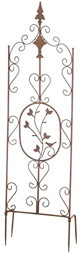 CLP Pflanzen-Rankgitter BURGUS aus Eisen I Rankhilfe für Kletterpflanzen im Landhausstil I erhältlich, Farbe:antik braun