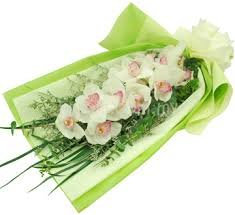 Bouquet di 1 Orchidea Cymbidium naturale bianca + Nota personalizzato.