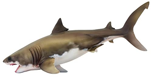 PNSO Prehistoric Animal Models: (54Aidan The Cretoxyrhina)