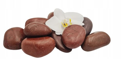 V-PREMIUM SOLUTION Polierte Dekosteine Rot 5-8 cm 10 kg - Kieselsteine Deko Garden für Teich und Gabionen - Große Steine für Blumentöpfe, Vasen, Terrarium und Aquarium - Schöne Gartendeko Natur