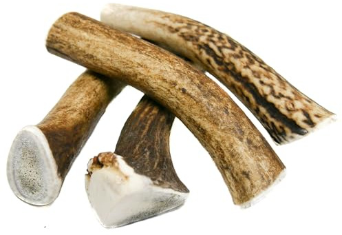 RF-Deer Hundesnack Rothirsch Geweih Kausnack - Hirschgeweih für Hunde, 100% Natürlicher, Kauspielzeug Hund, Hundespielzeug Kauknochen für Genuss und Zahnpflege (XS Hard - 5 Stück)