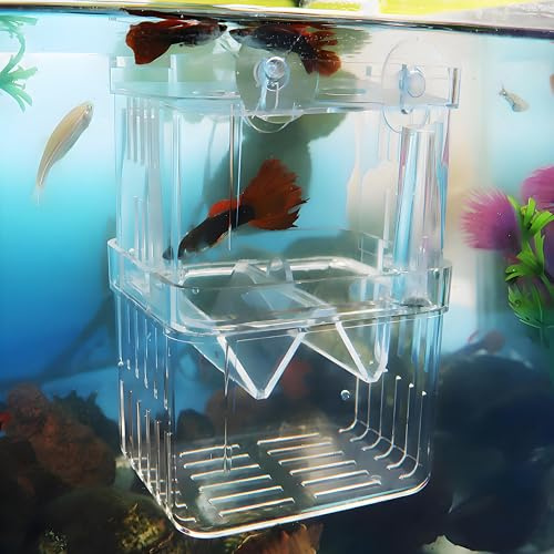 Aquarium Fish Breeding Box Transparent Acrylic Fry Separator Isolation | Clear Acrylic Fish Incubator with Suction Cups for Betta, Goldfish, Guppy, Shrimp and Tropical Fish Fry Tank Breeding