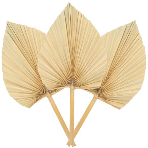 iplusmile Adorno De Hojas De Palma Secas 3 Piezas Grande y Natural Decorativo Artesanía Hojas De Palma para Decoración De Bodas Fiesta Colgante Artística