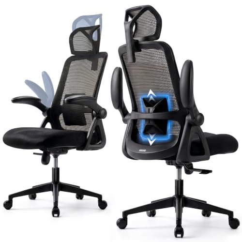 Realm of Thrones Mesh Ergonomic Office Chair, Back Support and Long Hours | CAPTAIN Swivel Desk Chair for Small Home Offices, Flip-Up Armrests, Adjustable Lumbar Support and Headrest, 5-Year Warranty