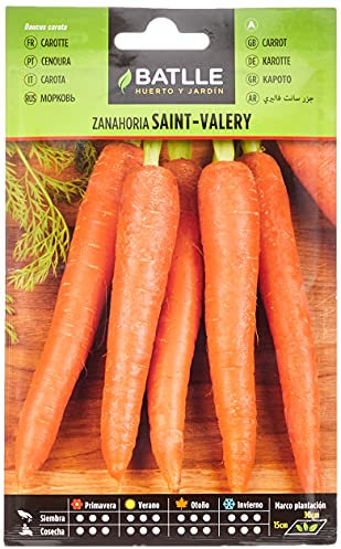 Semillas Batlle Carotte Saint-Valery Tres PRECOCE