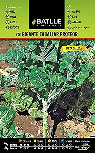 Semillas Batlle Col GIGANTE CABALLAR (Proteor)
