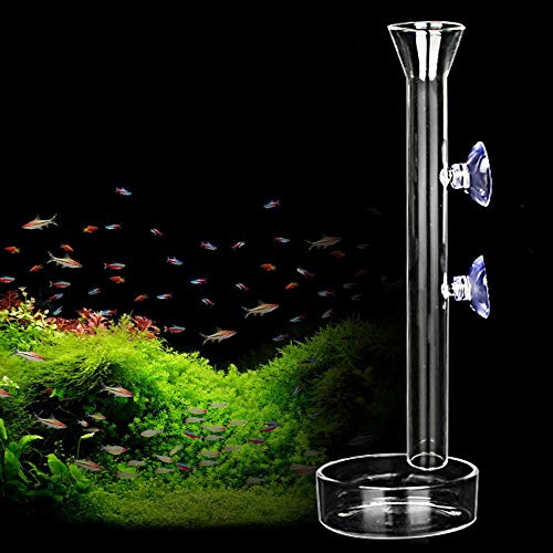 AnxunJim Garnelen-Futterröhre und Schale, transparentes Kristallglas, für Garnelen, 25,4 cm