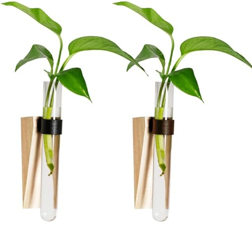 txuzong Propagationsstation 2 Stück Set – Pflanzenbewurzelungsstation aus Holz & Kunststoff mit (Bohrfrei, Dekorativ), Ideal für Stecklinge, Kräuter & Blumen am Fenster, Balkon oder im Schlafzimmer