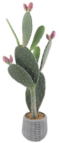 GarveeHome Pianta artificiale di cactus, 106 cm, grande in vaso, piante grasse artificiali, decorative, Euphorbia Accruensis Cactus, cactus, per casa, giardino, ufficio, decorazione, regalo di
