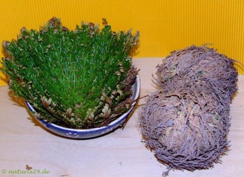 Naturix24 - Rose de Jéricho 50g