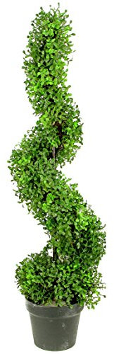 Admired By Nature Buchsbaum, in Kunststofftopf, 61 x 91 cm 1er-Pack B.gtr4633-natürlich