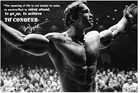 Arnold Schwarzenegger Zitat, unterzeichnetes Foto, großartige Qualität, 30,5 x 20,3 cm (A4), Print 3
