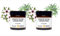 Amphora Aromatics Antiseptic Tea Tree & Manuka Cream 2 x 60ml