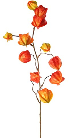 artplants.de Branche de physalis Artificiel PERSEI, Orange, 80cm | avec Fruits - Fleur de lampion déco