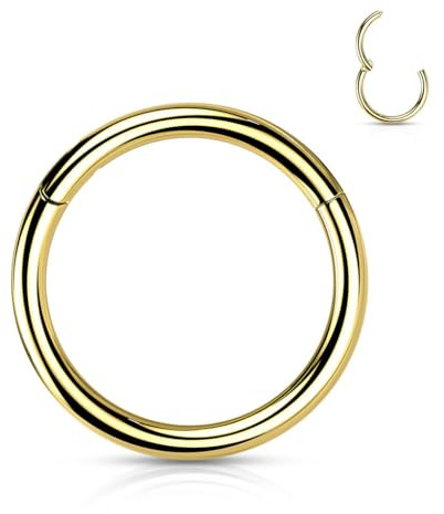 Stachelkleid Nasenpiercing Ring Clicker aus Titan – Septum Piercing Helix Conch Tragus Nostril – Nasenring Segmentring Scharnier – Viele Größen – Gold, Silber und weitere Farben