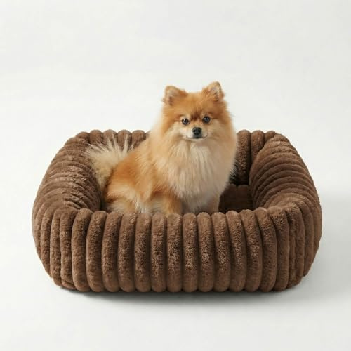 CareCooo Flauschiges Hundebett Mittlere Hunde, Waschbar Abnehmbar, Rechteckig, rutschfest & Komfortabel, Hundekörbchen, Hundekissen, Hundesofa für Mittelgroße Rassen, weiß, M(63x53x18cm)