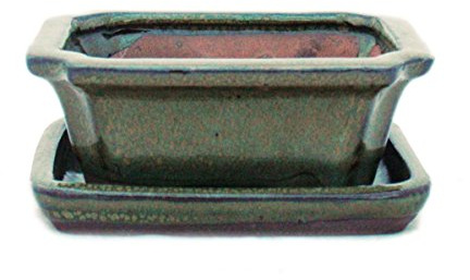 exotenherz - Bonsaiskål med fat storlek 1 – olivbrun – fyrkantig – modell G13-12 cm – B 9,5 cm – H 4,5 cm