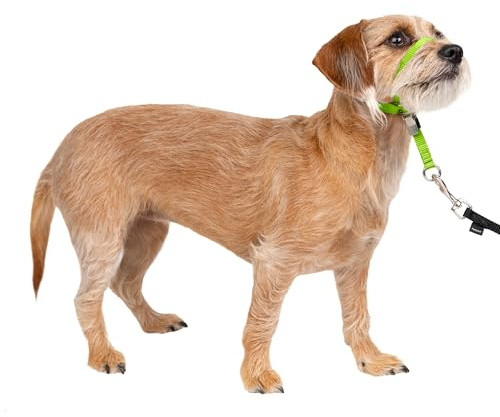 PetSafe Mjuk guide halsband med tränings-DVD