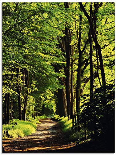 ARTland Wanddeko Glasbilder Wandbild Glas Bild einteilig 60x80 cm Hochformat Natur Wald Bäume Frühling Spaziergang Landschaft T1UC