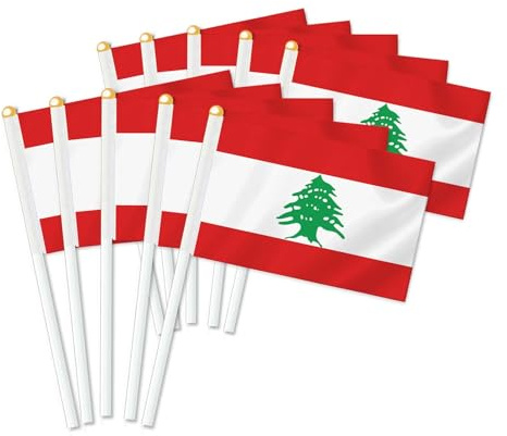 Lot de 25 drapeaux de Liban Handheld, décor tenu à la main, bannière de décoration à la main Lebanon