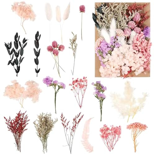 Natürliche Getrocknete Blumen - Dried Flowers DIY Deko Set für Kerzen, Handwerk & Scrapbooking, Trockenblumen zum Basteln