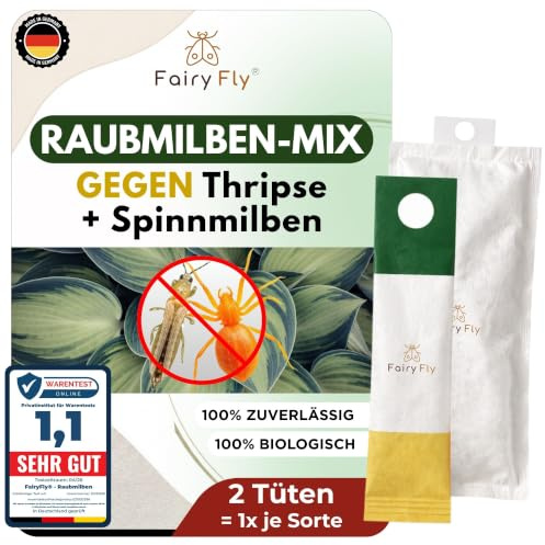 FairyFly® Raubmilben Mix gegen Thripse & Spinnmilben – 2 Tüten (1 x Cucumeris + 1 x Californicus) – Nützlinge für Zimmerpflanzen & Gewächshaus – biologisch & chemiefrei