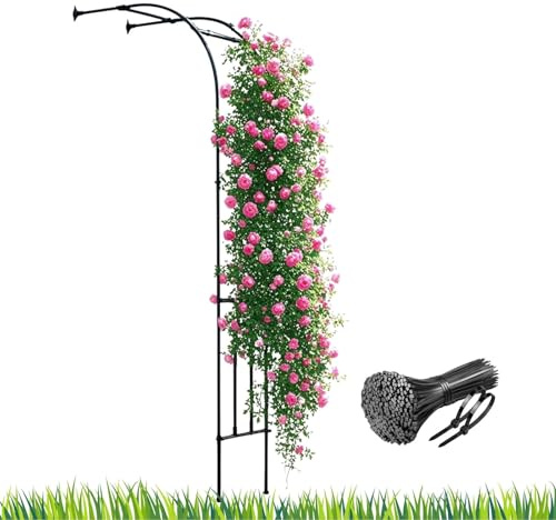 Black Half Side Metal Garden Arch for Climbing Plants - 150cm Wide x 240cm High Steel Trellis for Outdoor Flowers Roses Jasmine Patio & Lawn Decoration