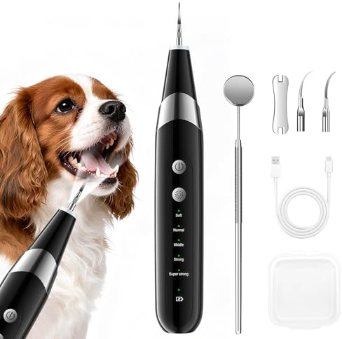 InFanso Dog Plaque Remover PR400, Ultraschall Haustier Zahnreinigungsprodukte mit LED-Licht zur Zahnsteinentfernung, 5 Modi, wiederaufladbar & leicht für Hunde und Katzen, Schwarz