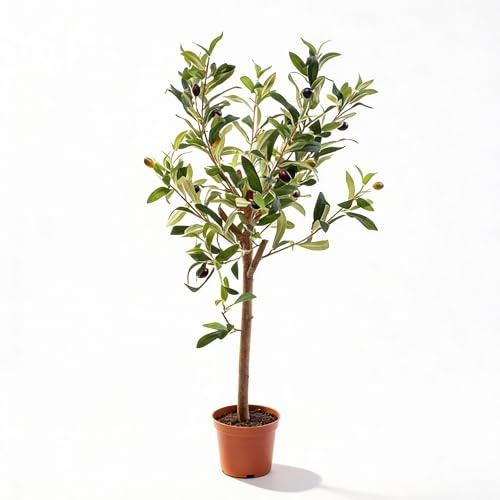 Künstlicher Olivenbaum 65cm – Mediterrane Kunstpflanze – Pflegefreie Dekopflanze – Realistische Blätter – Für Wohnzimmer Balkon Büro Schlafzimmer