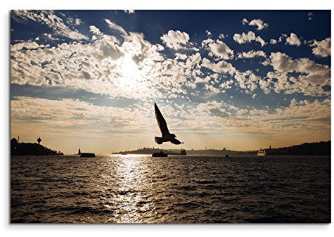 120x80cm Leinwandbild auf Keilrahmen Istanbul Bosporus Fluss Vögel Abendsonne Wandbild auf Leinwand als Panorama