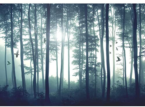 Runa Art Papel tapiz fotográfico Las aves del bosque de niebla 352 x 250 cm Lana Fondo De Pantalla XXL Moderna Decoración De Pared Sala Cuarto Oficina Salón azul 9326011a