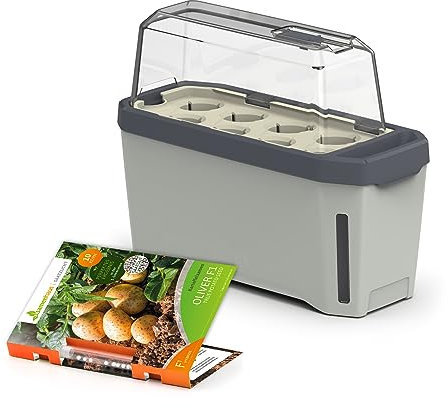 FLORTUS Anzuchtset Kartoffeln mit Kräutertopf Harry Herbs grau | Pillensaat Oliver F1 & Mini Gewächshaus mit Bewässerungssystem | Alternative zu Pflanzkartoffeln