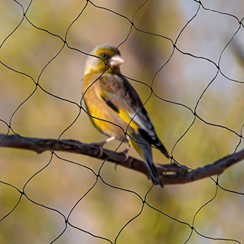 Susoso 30x15 m Vogelschutznetz, Gartennetz Obstbaumnetz Masche 5cm Polyester Weben für Garten Schwarz